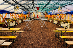 DP-Weihnachtsfeier01